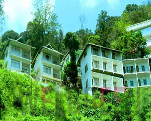 Welgreen Kerala Holidays - MIST INN