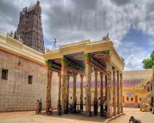 Welgreen Kerala Holidays