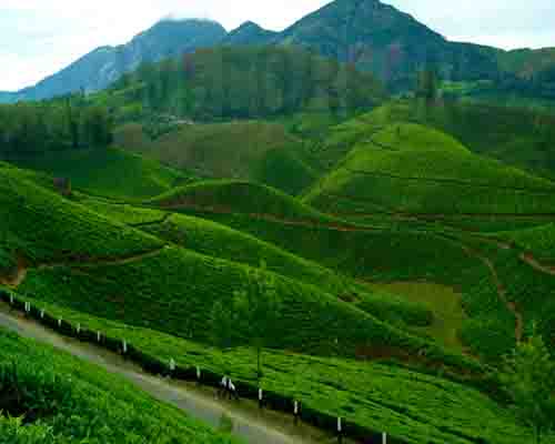 Welgreen Kerala Holidays