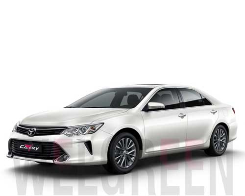 Welgreen Kerala Holidays - 